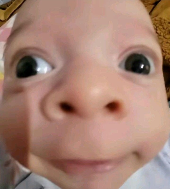 WHAT DID YOU JUST SAY???
